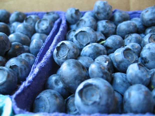 O consumo de mirtilo (ou blueberry) diminui o risco de diabetes tipo 2 em 26%.