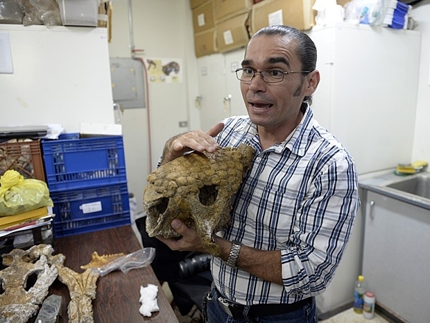 Crnio de gliptodonte encontrado em Caracas, na Venezuela