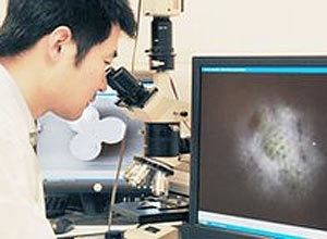 Com mtodo inovador, cientistas criam microscpio mais potente do mundo que  capaz de visualizar nanopartculas