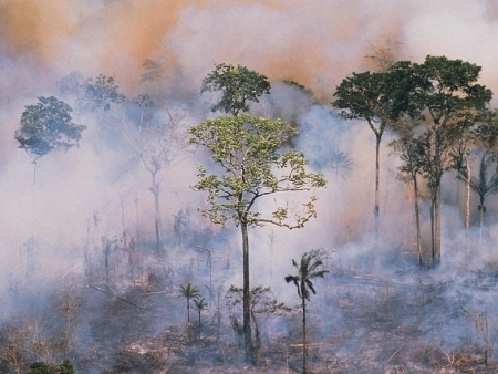 Alm de cortar emisses de CO2,  preciso diminuir o desmatamento na Amaznia para conter o aquecimento global