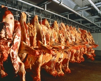 Carne: Alta acumulada de 14%