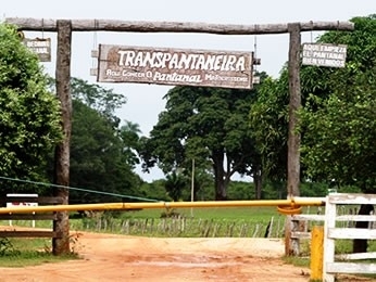 Rodovia Transpantaneira corta o Pantanal mato-grossense