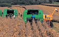 Segmento agropecurio mato-grossense ficou em primeiro lugar no ranking de gerao de postos de trabalho formais