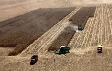 Safra 2012/13 bate recorde e previso de colheita chega a 184 milhes de toneladas