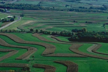 Agropecuria foi o destaque do setor produtivo no primeiro trimestre