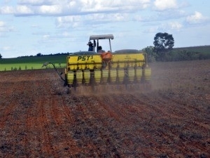 Plantio de soja em Mato Grosso entra na reta final