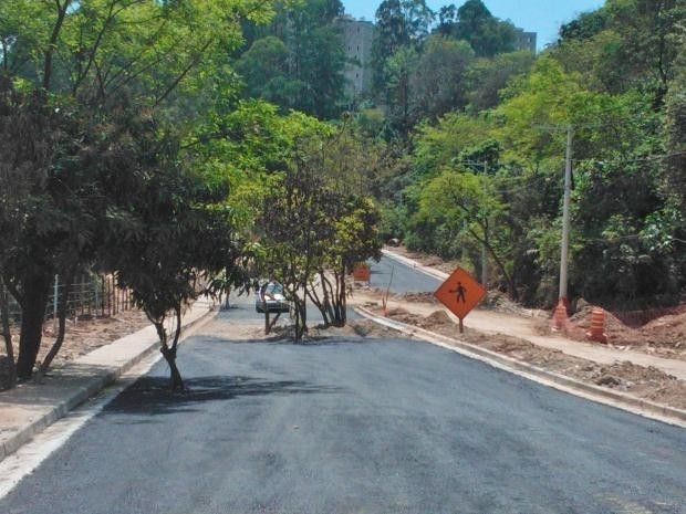 Pavimentao foi iniciada antes da remoo das rvores em obra da Avenida Perimetral Paraispolis, em So Paulo, SP