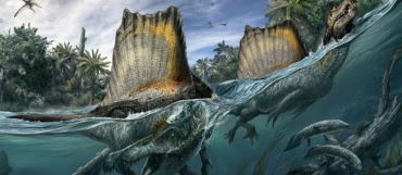 Dinossauro tinha causa, tronco e pescoo longos e focinho como de crocodilo