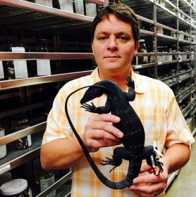Cientista Rafe Brown segura lagarto de uma das novas espcies descobertas nas