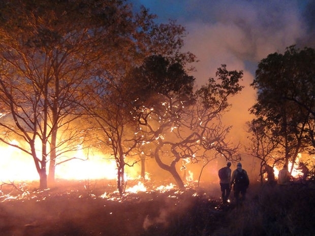 Brigadistas tentam combater incndio no Parque de Chapada