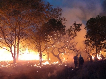 Brigadistas tentam combater incndio no Parque de Chapada
