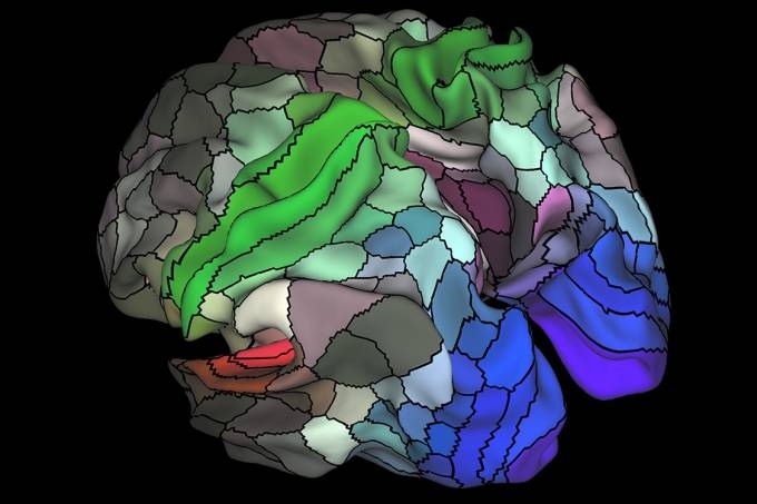 A imagem mostra as 180 reas do crebro nos hemisfrios direito e esquerdo.