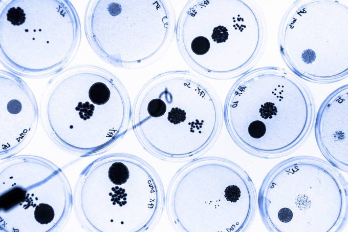 Estudos recentes mostram que em nosso corpo h dez bactrias para cada clula. (iStockphoto/Getty Images)