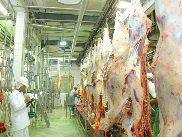 Preo da carne bovina tem variao de 208,5% no preo