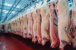 Efeito EUA sobre a abertura de novos mercados consumidores  carne bovina  aguardado pelo setor