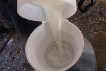 Cpsulas desenvolvidas por Maria Vitria tornam leite bom para consumo dos intolerantes  lactose