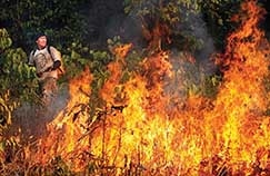 Xingu em chamas: Instituto Brasileiro do Meio Ambiente e dos Recursos Naturais Renovveis j decretou situao de emergncia