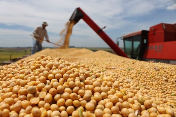A estimativa para a prxima safra de soja em Mato Grosso  de 29,385 milhes de toneladas do gro