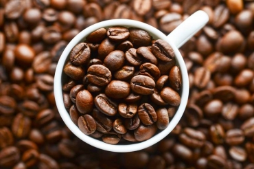 Dois estudantes de uma universidade no Reino Unido quase morreram aps ingerirem 30 gramas de cafena, o equivalente a 300 xcaras de caf, devido a um erro de clculo durante um experimento sobre os efeitos da substncia na prtica de atividade fsi