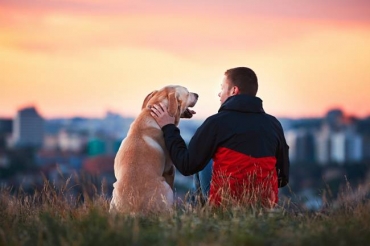 Cachorros e donos so capazes de influenciar as emoes um do outro e ajustar seu comportamento a elas (iStockphoto/Getty Images)