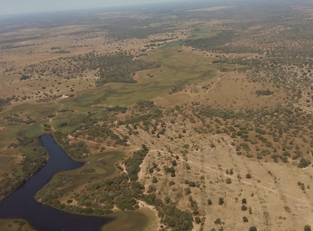 Sobrevoo do SOS Pantanal mostra desmatamento no bioma (Foto: SOS Pantanal/Divulgao)