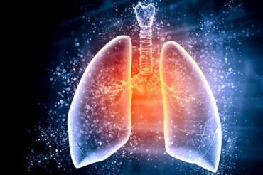 Ilustrao esquemtica de um pulmo humano (IStock/Getty Images)