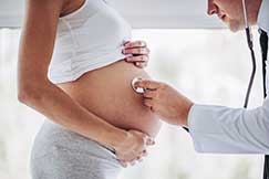 A infeco pelo vrus da dengue durante a gravidez pode aumentar em 50% o risco de anomalias neurolgicas no beb