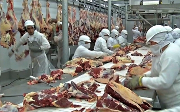 Rssia reabre mercado  carne de MT  Foto: Reproduo/TVCA
