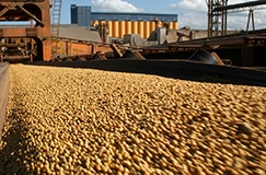 De janeiro a novembro foram exportadas 19,33 milhes de toneladas de soja originadas em Mato Grosso