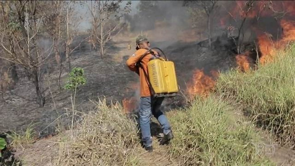 Mato Grosso  o segundo estado com mais queimadas  Foto: Reproduo/JN