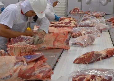 Carne bovina  o terceiro setor com o melhor desempenho, s fica atrs do milho e da soja  Foto: Reproduo/TVCA