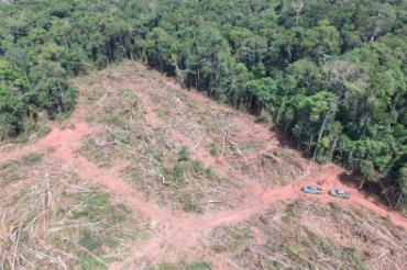 Segundo o TRT, trabalhador foi contratado para derrubar floresta nativa em terra indgena  Foto: TRT-MT/Divulgao
