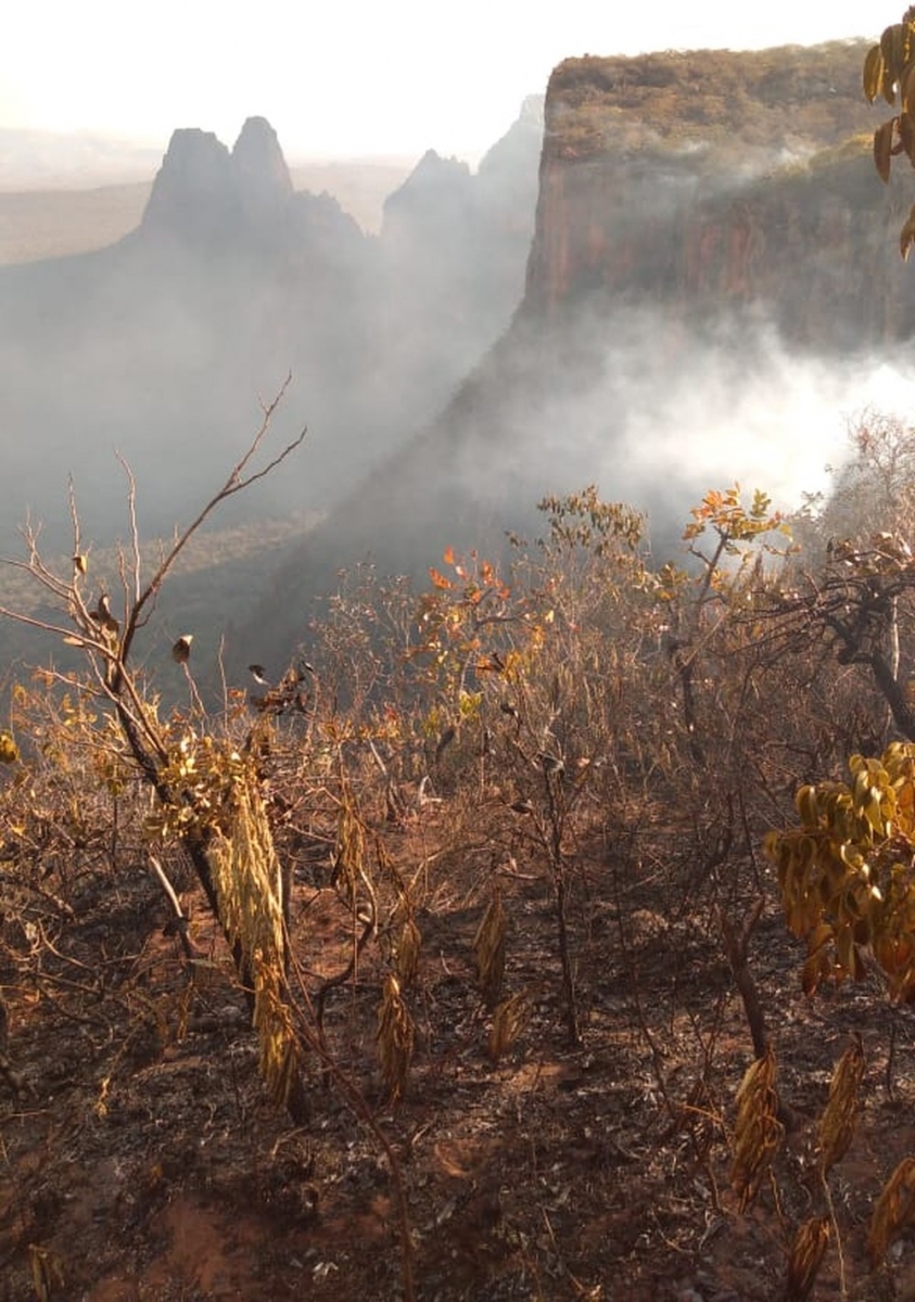 rea do Parque Nacional de Chapada dos Guimares atingida pelo fogo  Foto: ICMBio