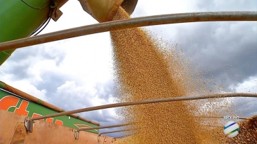 Exportao de soja bate recorde em abril em MT  Foto: Reproduo/TVCA