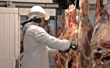 Um dos setores da indstria que mais cresceu foi o de carne bovina, com alta de 40%  Foto: Reproduo/TVCA