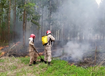 Governo federal decreta situao de emergncia devido aos incndios florestais em MT  Foto: Corpo de Bombeiros de Mato Grosso