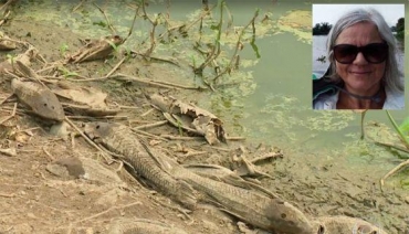 Dbora Fernandes Calheiros faz um alerta para o risco de mortandade de peixes em baias, lagos, riachos e grandes rios