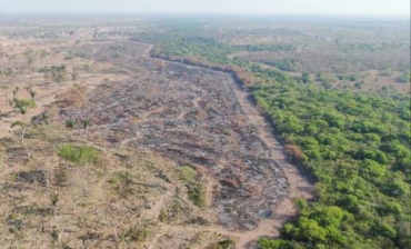 No Governo Bolsonaro, em setembro de 2019, houve recorde de desmatamento