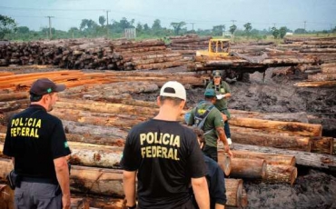 A operao Arquimedes da PF resultou na apreenso de centenas containers de madeira extrada ilegalmente