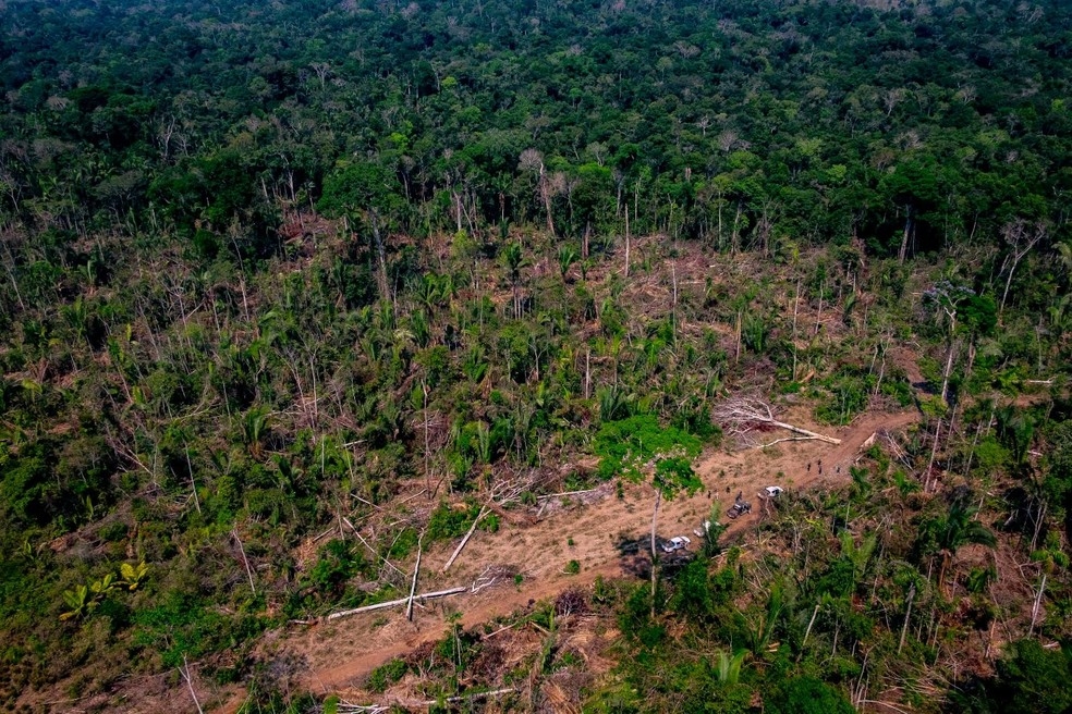 Desmatamento em Mato Grosso — Foto: Marcos Vergueiro/Secom-MT