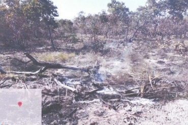 Fazendeiro foi multado em R$ 10,4 milhes pela queimada de 1.735,7077 hectares de vegetao nativa do bioma Pantanal Mato-grossense  Foto: MPMT