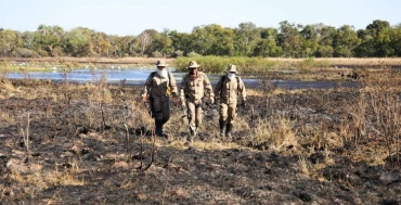 Bombeiros mobilizam contingente e avies no combate aos incndios no Pantanal, em Mato Grosso do Sul