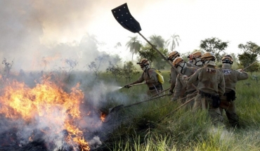 Trabalho dos brigadistas so essenciais para a combate dos incndios no Pantanal.  Foto: GOV-MS/Reproduo