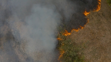 Primeiro incndio de grande proporo no Pantanal consome vegetao nativa e rea de pastagem  Foto: Ipam