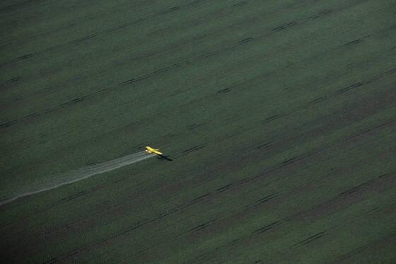 Avio pulveriza agrotxicos em plantao de soja