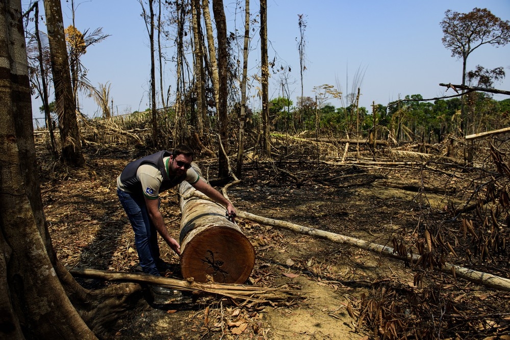 MT  tem maior nmero de alertas de desmatamento da Amaznia, diz pesquisa  Foto: Marcos Vergueiro/Secom-MT
