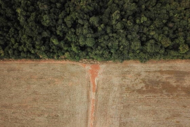 Desmatamento perto de borda entre Amaznia e Cerrado, em Nova Xavantina