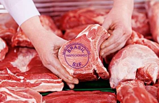 Carne, soja em gro, algodo e produtos florestais so os principais itens que MT vende para os europeus
