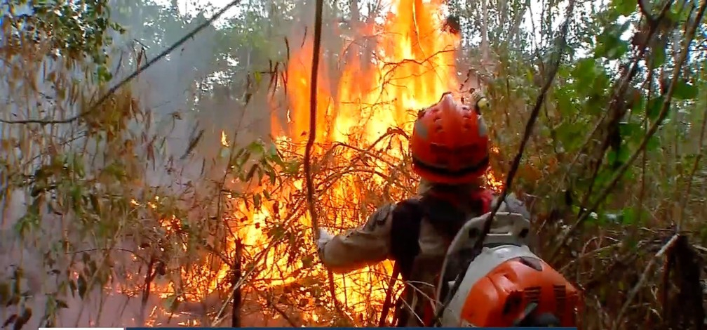 At o fim de outubro, em Mato Grosso, est proibido o uso do fogo em reas rurais, conforme o decreto n 259/2023