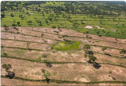 Imagens da rea embargada mostram o antes e depois do desmatamento ilegal, em Mato Grosso